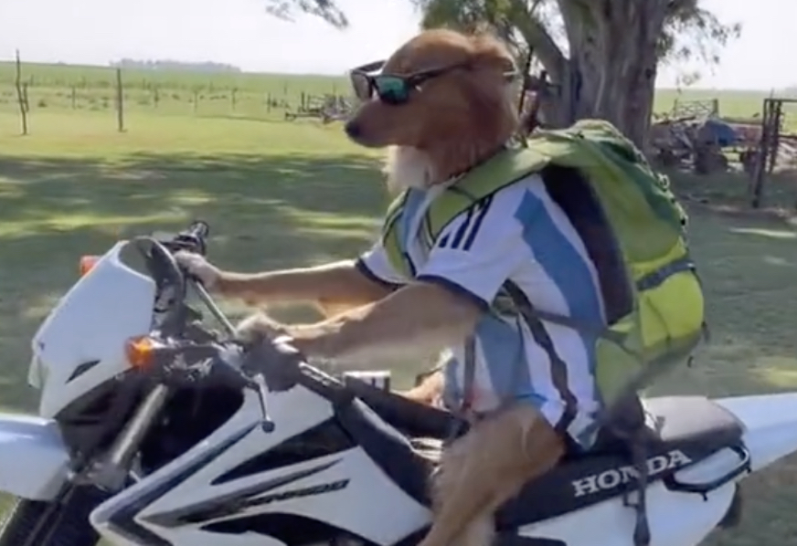 O MELHOR DO TWITTER: “Messi” edition