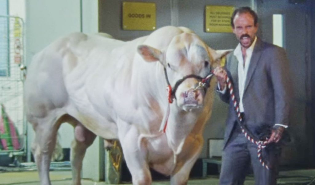 Uma ida às compras com o Idles. Ouça o novo single “Gift Horse”, com seu vídeo incômodo, digamos