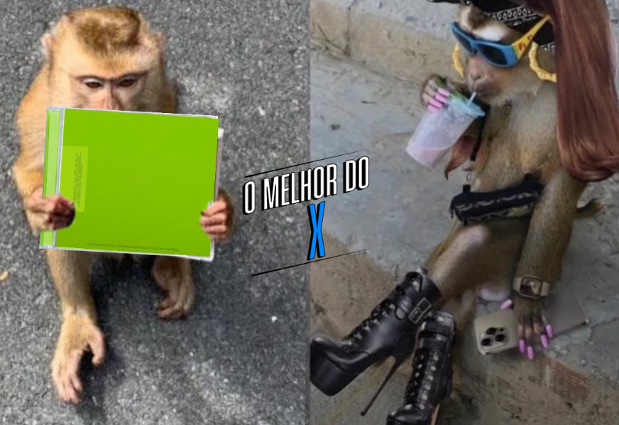 O MELHOR DO X: “Brat” edition