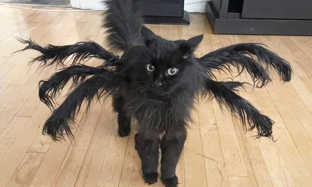 Melhor do X “Halloween” edition